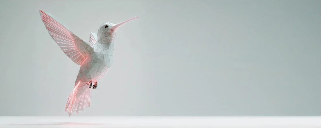 Polygonaler Kolibri – Symbol für RHYLOO